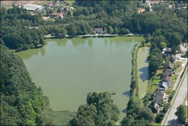 Das Logo des ASV Waldmohr 1965 e.V.